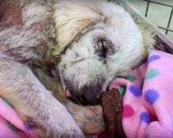 She Snored Through Her First Safe Sleep