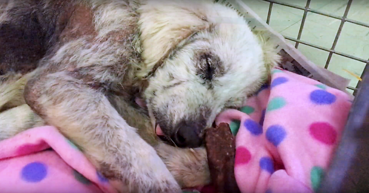 She Snored Through Her First Safe Sleep