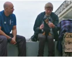Man Living On Streets Couldn’t Lose His Dog, Prayed For Miracle & Vet Showed Up