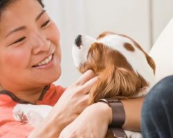 New Study Shows That Losing A Pet Is As Hard As Losing A Family Member
