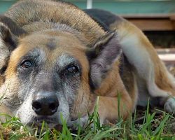 She Got Cancer From Sun Exposure After Family Moved & Left Her Behind In Yard