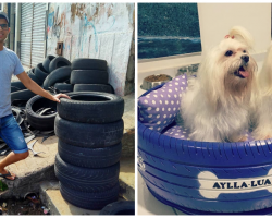 Struggling Artist Turned Thousands Of Old Tires Into ‘Gorgeous’ Beds For Stray Animals