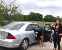 Good Samaritan Follows Dog Dumper Into Vacant Lot And Confronts Her On Camera