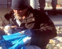 Homeless Man Saw A Pup Get Thrown Out Of Car And Went Out Of Way To Save Him