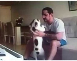 Dog Owner Sees Hidden Camera Footage Of Fiancé, Immediately Calls Off Wedding