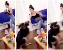 Teen Repeatedly Punches Shepherd With Boxing Gloves, Dog Yelps & She Laughs