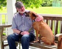 Dad Tears Up As He Makes Bucket List To Cheer Up His Dying Cancer-Stricken Dog