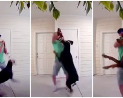 Man Gets Mad At His Ex, Steals Her Doberman & Viciously Chokes Dog With Leash