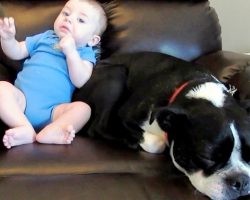 Mom Realizes Baby Is About To Release A Loud Fart, But She Doesn’t Warn Her Dog