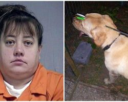 Woman Shoots Friendly Dog In Head With Crossbow For ‘Peeing On Her Car Tire’