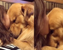 Golden Retriever Really Loves Hugging Mom