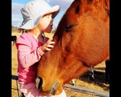 Horse Comes Running Every Time 3-Year-Old Girl Starts Singing “Heal The World”