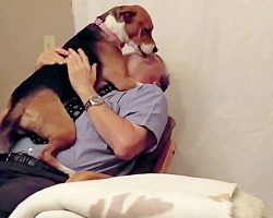 Shelter Pup Smothers New Dad With Kisses After He Saved Her From Euthanasia
