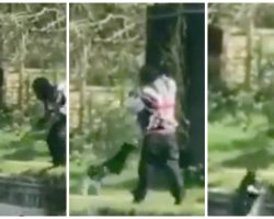 Man Repeatedly Dunks Dog Hanging By Leash Into Lake As Form Of Torture