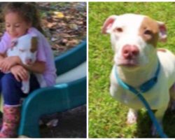 Little Girl Spends A Year Trying To Find Dog Someone Stole From Her Front Yard