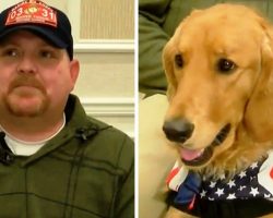 Veteran With PTSD Is Denied A Service Dog, Then He Gets Called To A “Conference”