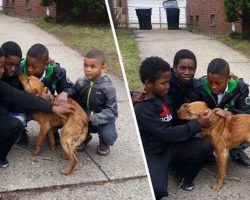 Heroic Boys Rescue Abandoned And Emaciated Dog Tied Up With Bungee Cords