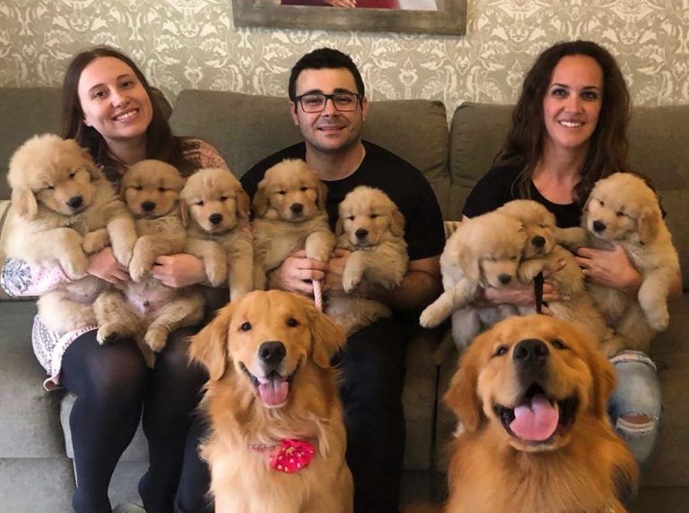 10+ Heartwarming Pics Of Proud Dog Parents Posing With Their Newborn
