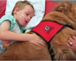 Family Says Goodbye to Boy Who Has Brain Injury As Dog Lays On Top Of Him