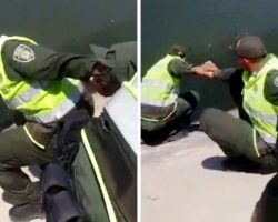 Cops Join Hands To Form A Risky Human Chain To Reach Stranded Dog In The Sewer