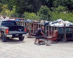 Woman Dumps Crated Dog By Dumpsters, Drives Away & Leaves Pup Scared & Confused