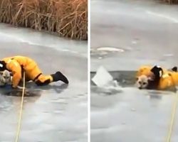 Man Slides Across Thin Ice To Rescue Stranded Dog, But The Ice Cracks Under Him