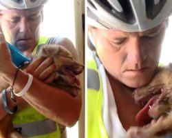 Cyclist Finds Puppy Dumped In A Desert, She Lifts The Puppy But Puppy Goes Limp
