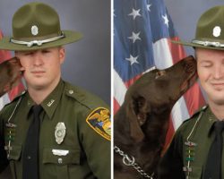 Adorable Police K-9 “Ruins” Photoshoot With His Partner By Showering Him With Kisses