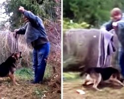 Man Tries To Free Dog Who Was Chained All His Life, But Dog Lunges Right At Him