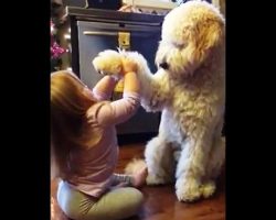 Little Girl Grabs Treats & Sets Out On A Mission To Train Her Dog To “Give Paw”