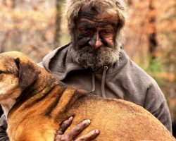 Homeless Man Watches With Tears In His Eyes As Authorities Take Away His 31 Dogs