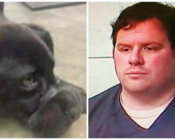 Former County Jail Employee Tapes Puppy’s Legs & Snout Shut, Dumps Him In Woods