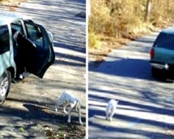 Owners Throw Dog Out Of Car & Drive Away, Dog Chases Them But They’re Too Fast