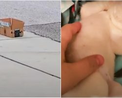 Ominous Cardboard Box On Curb Held Tiny Body That Woman Tried To Resuscitate