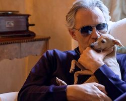Andrea Bocelli’s Searching For His Dog Who Fell Off Boat & Disappeared Into Sea