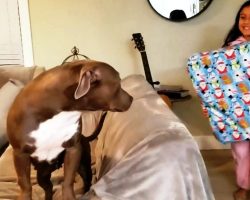 Rescue Dog Runs To Thank Little Girl For Getting Her The 1st Present In Her Life
