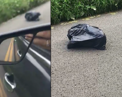 Woman Pulls Over When She Sees A Trash Bag Walking Down The Street