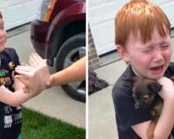 Boy Was Saving Up To Buy Puppy, Grandma Asks Him To Close His Eyes & Stretch His Arms