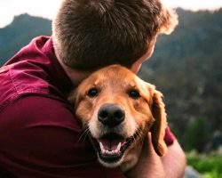 10 Most Extra-Affectionate Dog Breeds