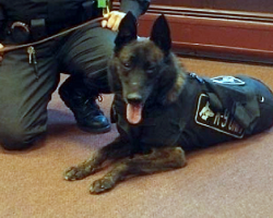 Officer Says His Final Goodbye & Mourns The Loss Of His Beloved K9 Partner