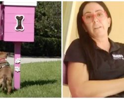 Neighbor Flips Out Over Woman’s “Ugly Pink Box” Of Free Goodies For Local Dogs