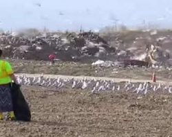 Woman Sentenced To Stay In Stinky Landfill So She Feels What Her Dog Felt Like