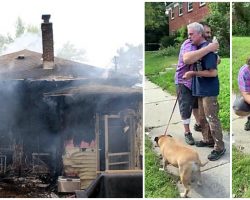 Passerby Breaks Into Stranger’s Burning Home To Save His Sleeping Dog
