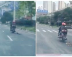 Two Men Drag A Dog Over One Mile On A Scooter As A Form Of Punishment