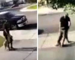 Police Want The Public To Help Identify The Man Who Punched And Kicked His Dog