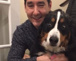 Dog Gets To Celebrate Her Birthday With Her Very Own Cake