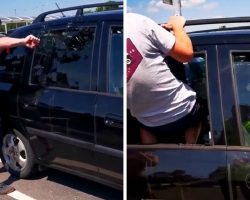 Man Sees Dog About To Die In Hot Car, Smashes Window And Jumps In To Save Him