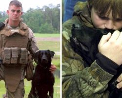 Dog Tries To Shield Soldier’s Bullet-Ridden Body, Helps Him Pass Away In Peace