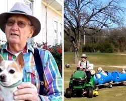 People Keep Dumping Dogs Near His House, So He Builds Them A Special Doggie Train