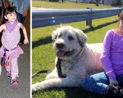 School Makes Family To Pay $25,000 For Service Dog’s “Handler Fee”, Gets Sued And Loses